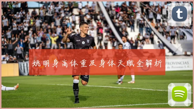 姚明身高体重及身体天赋全解析